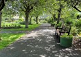 The tree lined paths of the park