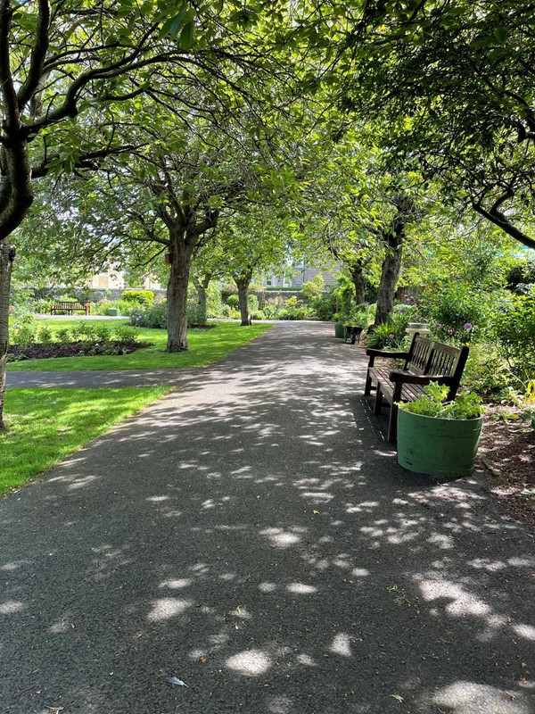 The tree lined paths of the park