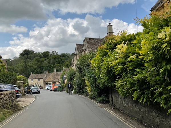 Image of a road with trees and houses