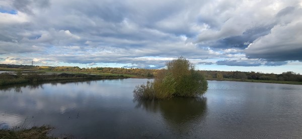 RSPB Old Moor