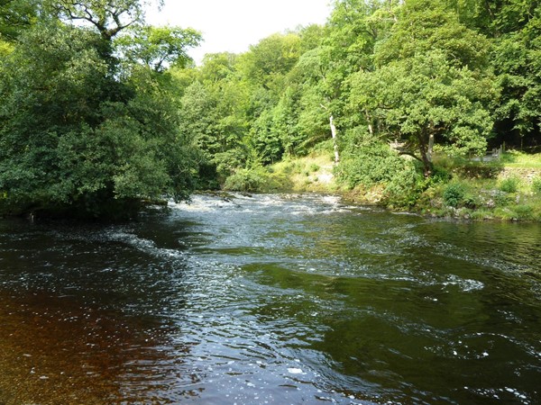 Picture of Strid Wood and the Strid