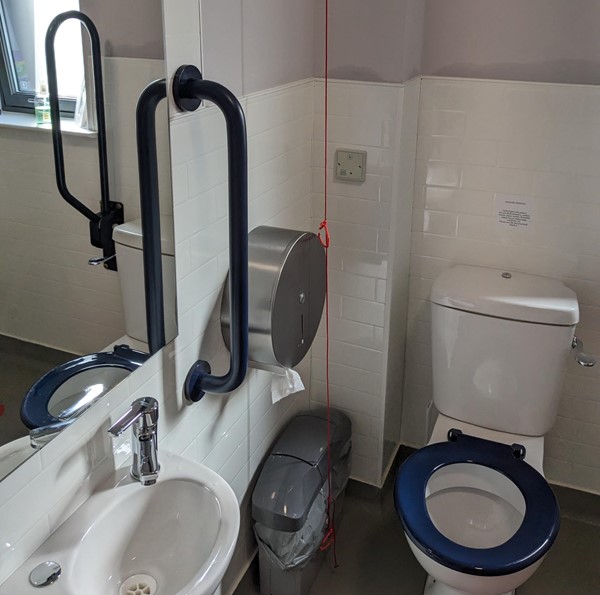 Image of the accessible toilet.