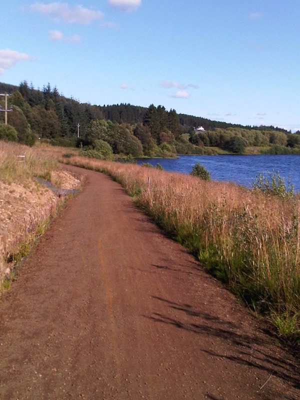 Picture of Lakeside Way - Well maintained, clear paths around the whole path.