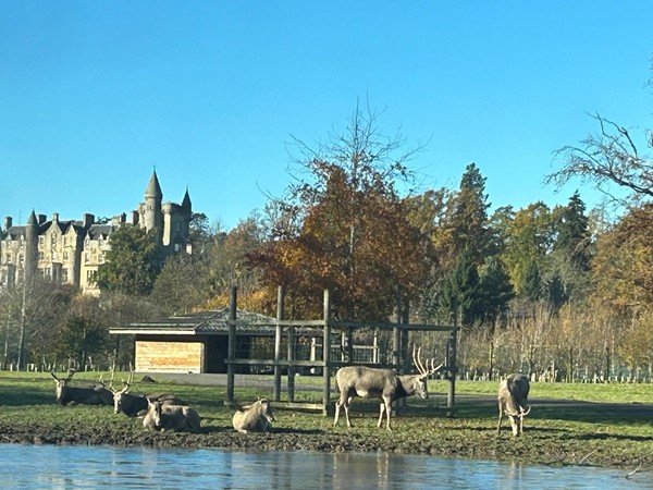 Blair Drummond Safari Park