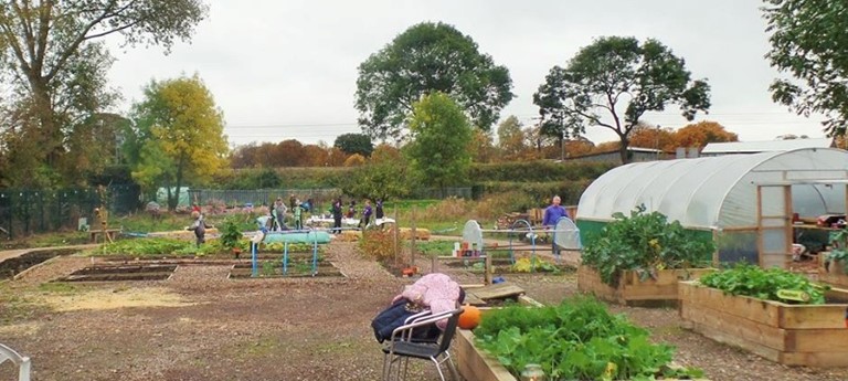 Appletree Allotment & Community Garden