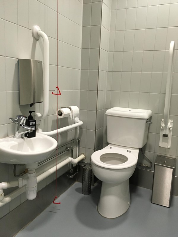 Accessible loo