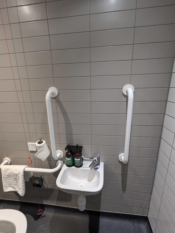 Image of sink in the accessible toilet