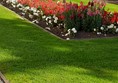 Image of flowerbeds