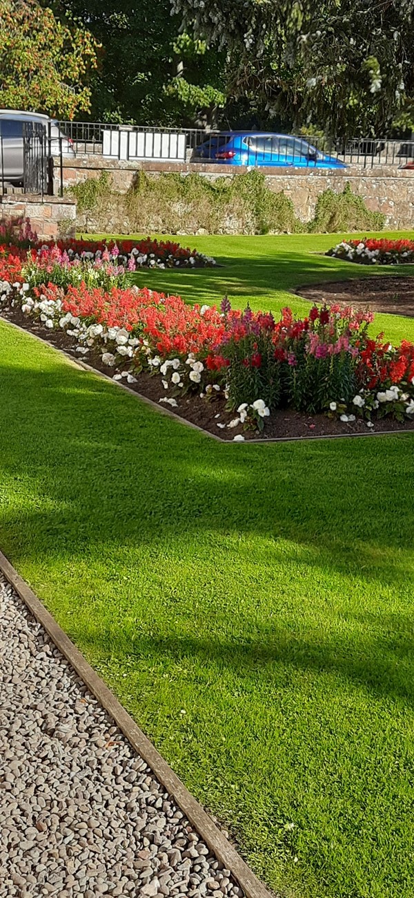 Image of flowerbeds