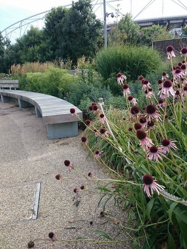 Picture of Queen Elizabeth Olympic Park