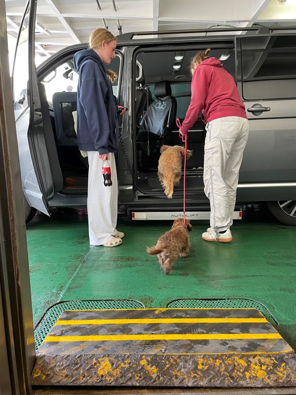 Image of two people with two dogs and a car on the deck of a boat