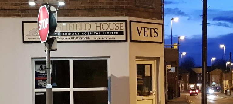 Ashfield House Vets