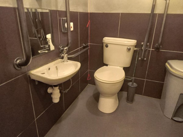 a photo of the bathroom. a sink and mirror are mounted on the wall. to the right of them, a red cord that dangles around a foot off the ground and a toilet with grab bars. a sanitart bin is in the corner.