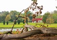 Nothing to do with access but I love this photo. It shows a house across the lake with red maple climbing all over it. It is framed by a tree where we often stop and let my dog play.