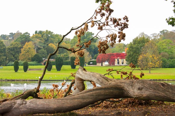 Nothing to do with access but I love this photo. It shows a house across the lake with red maple climbing all over it. It is framed by a tree where we often stop and let my dog play.