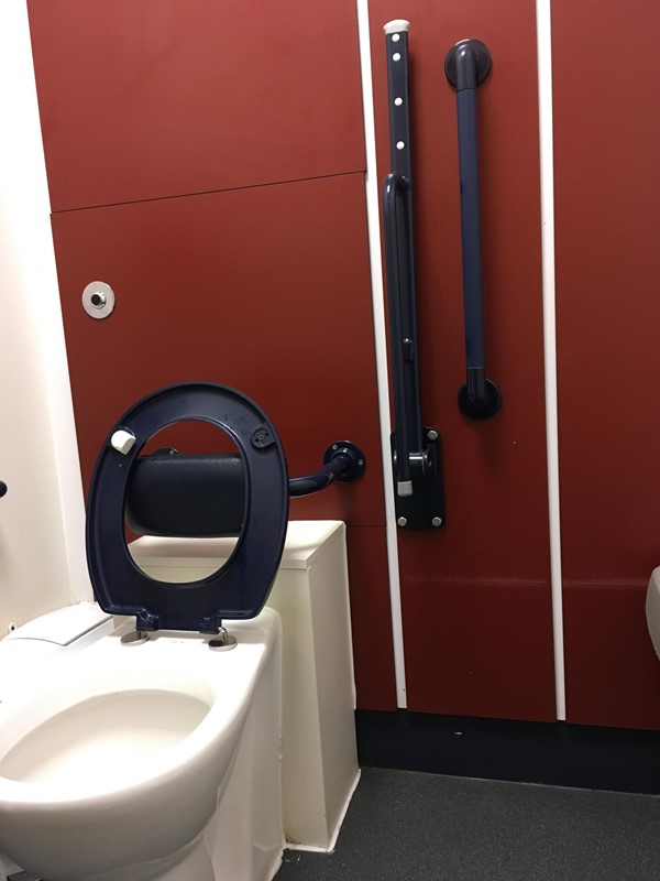 Accessible loo