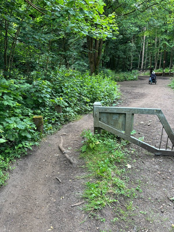 Image of a wheelchair user on a woodland path