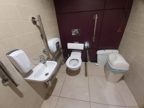 Picture of an accessible toilet