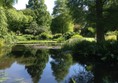 Water garden