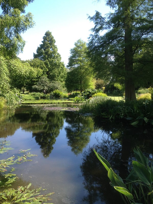 Water garden