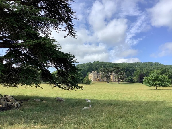 Picture of the hall in a field