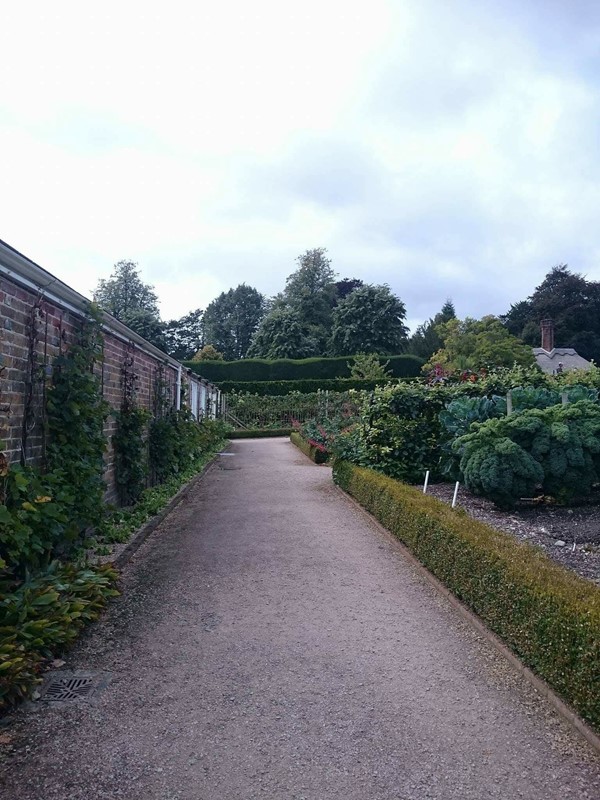 Picture of West Dean Gardens, Chichester
