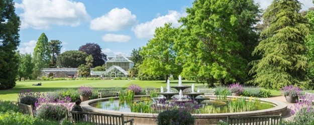 Disabled Access Day 2019 at Cambridge University Botanic Garden article image