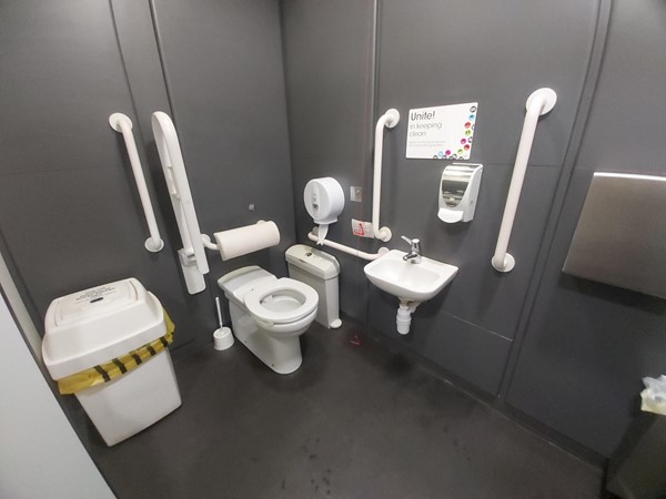 Accessible toilet