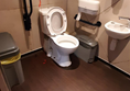 Image of an accessible toilet