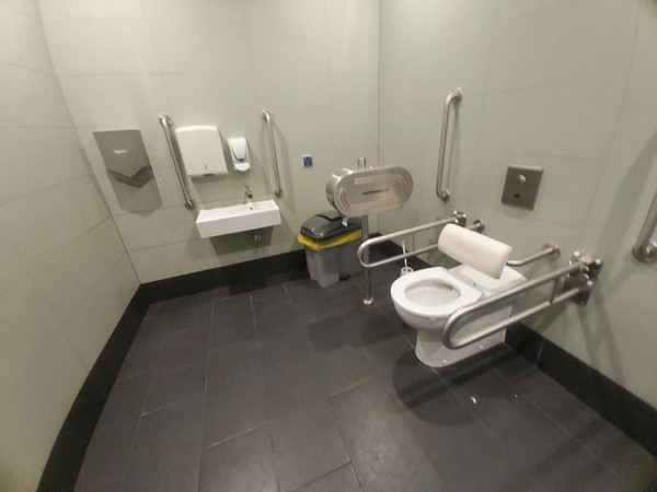 Image of an accessible toilet and grabrails