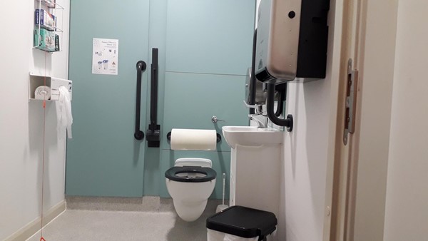 Accessible Toilet