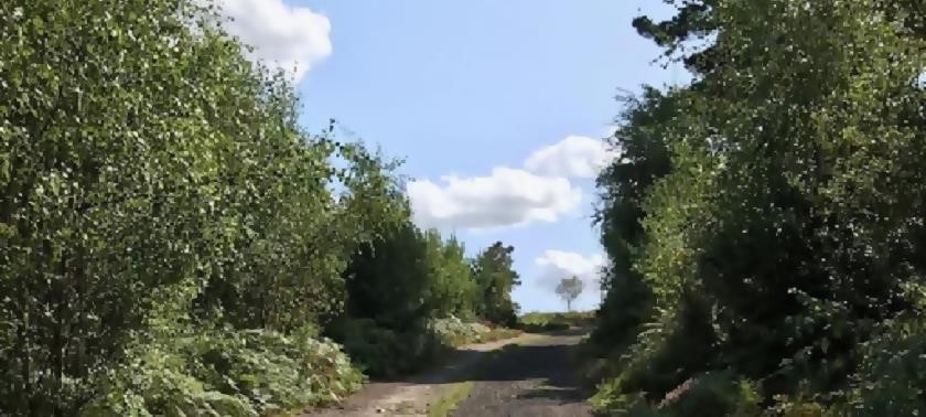 Hindhead Commons and the Devil's Punch Bowl