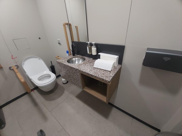 A bathroom with a sink and toilet