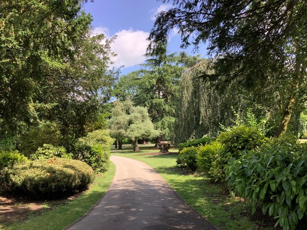 The path branches off to the left, with wonderful views of many of the 100 species of trees from around the world.