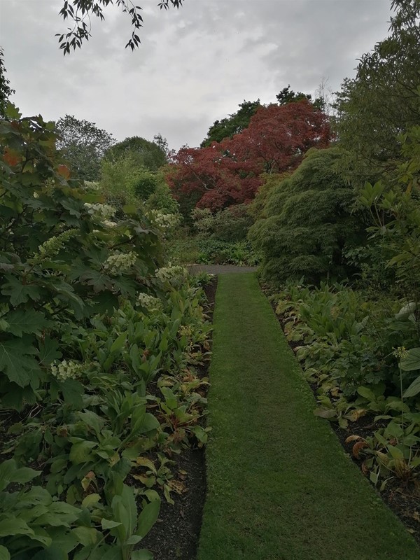 Image of a path through a garden