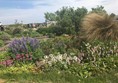 Flowers in garden