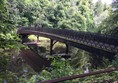 Bridge at lake.