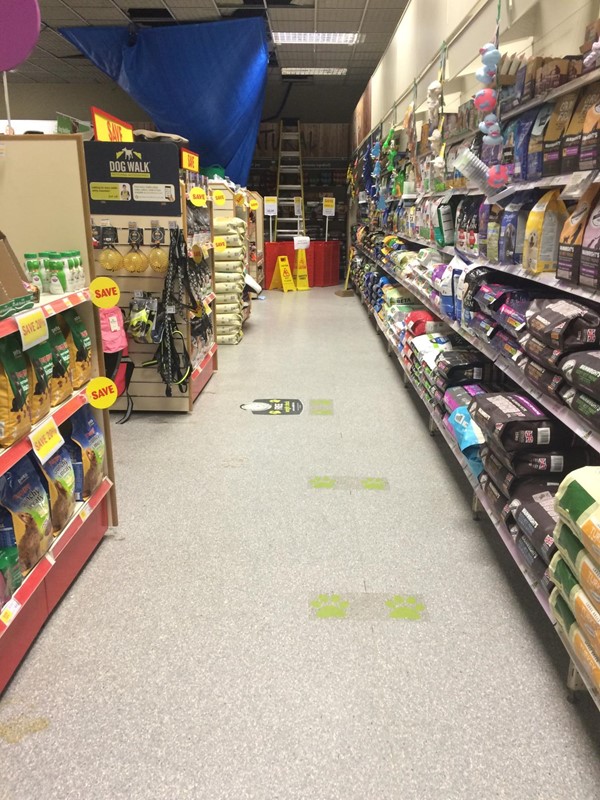 Corridor in shop. Roof had collapsed due to bad weather. Pigeons flying around shop.