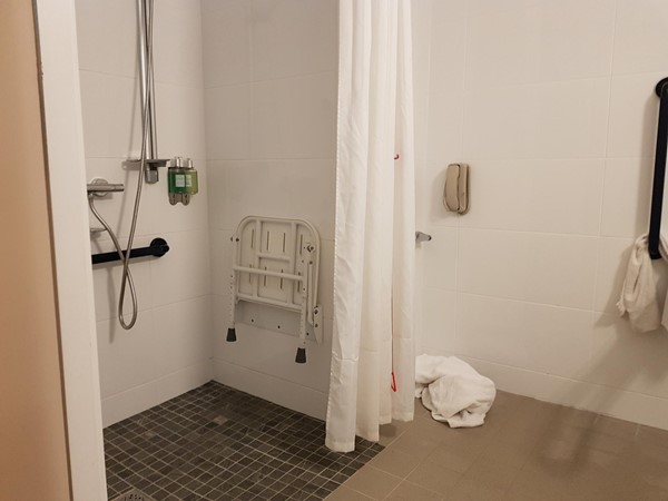 Picture of the accessible bathroom