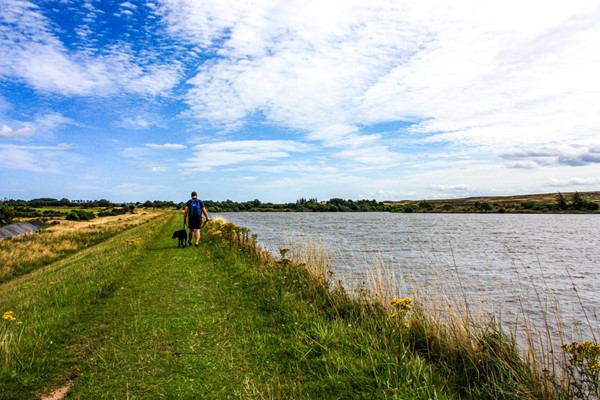 The accessible path, with grass surface, stretching along one side of the dam. My hubby is walking my assistance dog ahead of me.