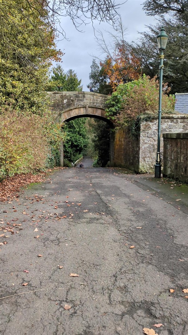 Image of bridge at Pittencrieff Park