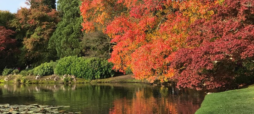 Sheffield Park and Garden