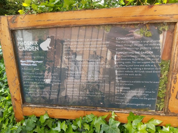 Picture of The Phoenix Garden, London