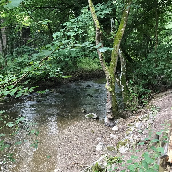 Picture of  Loggerheads Country Park, Mold