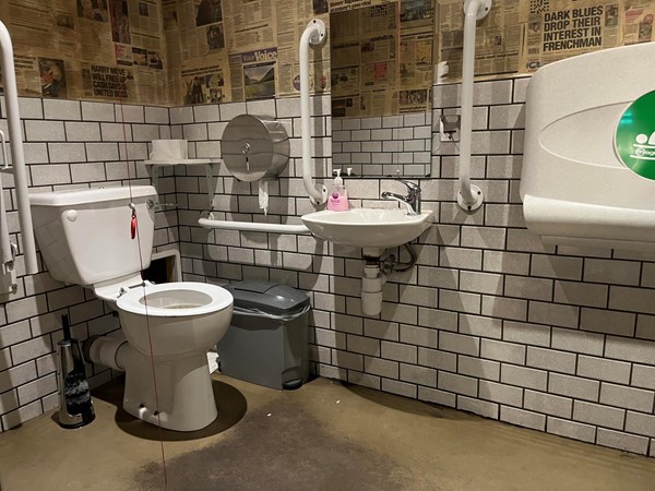 Picture of accessible toilet