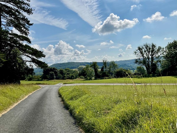 Image of a road leading to a field