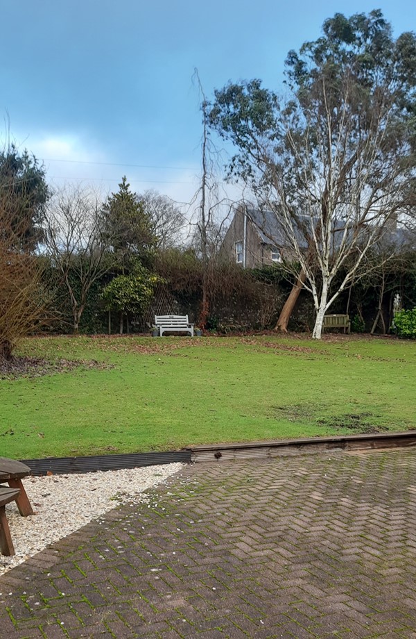 Picture of the lawn by the outdoor seating area