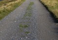 A sample of the old railway track. The quality is similar to this all the way along.