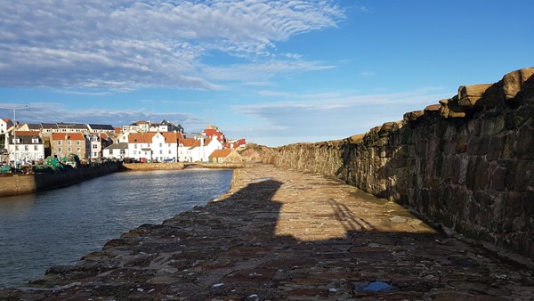 Picture of a path by some water leading to some houses