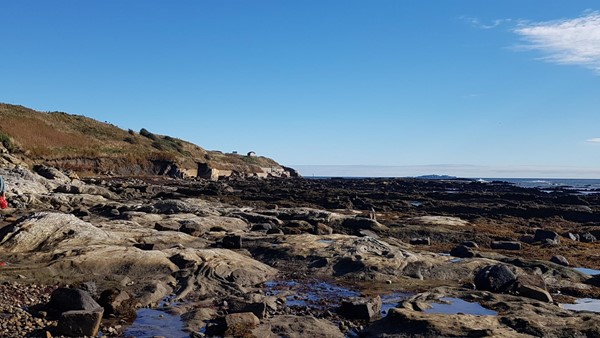 Picture of some rocks by the sea